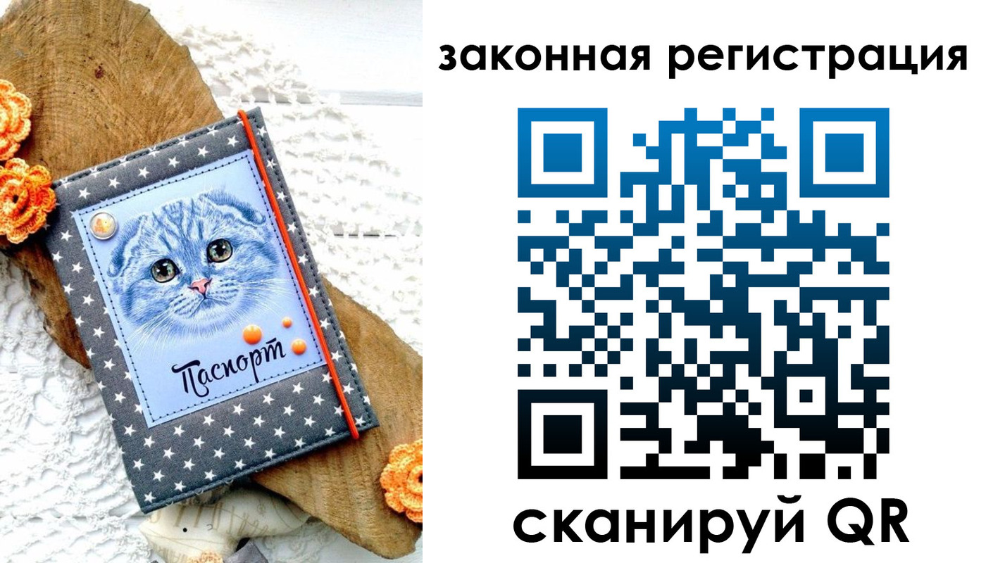 регистрация в Михайлове